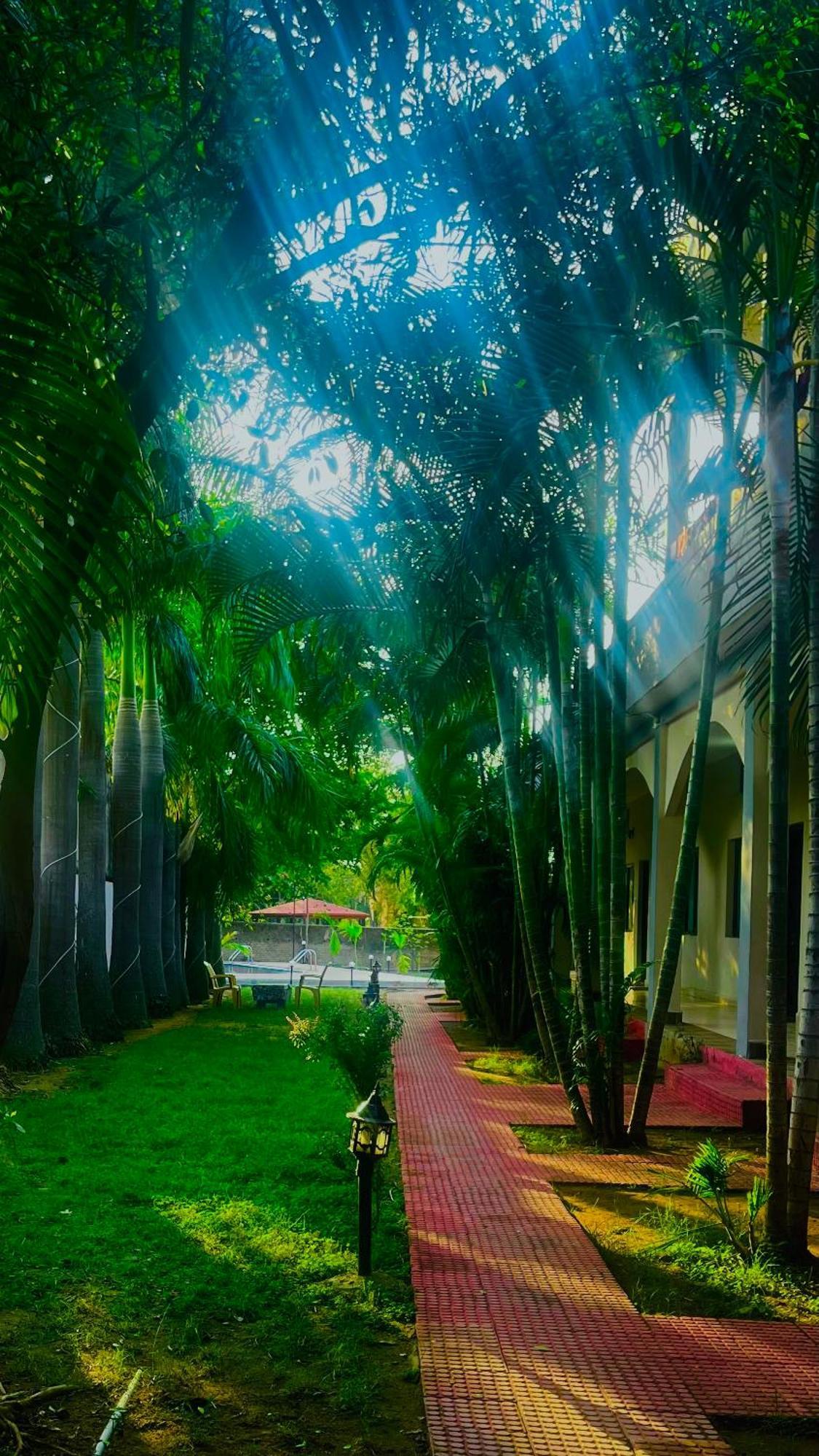 Hotel Jungle Palace Resort Umaria  Luaran gambar